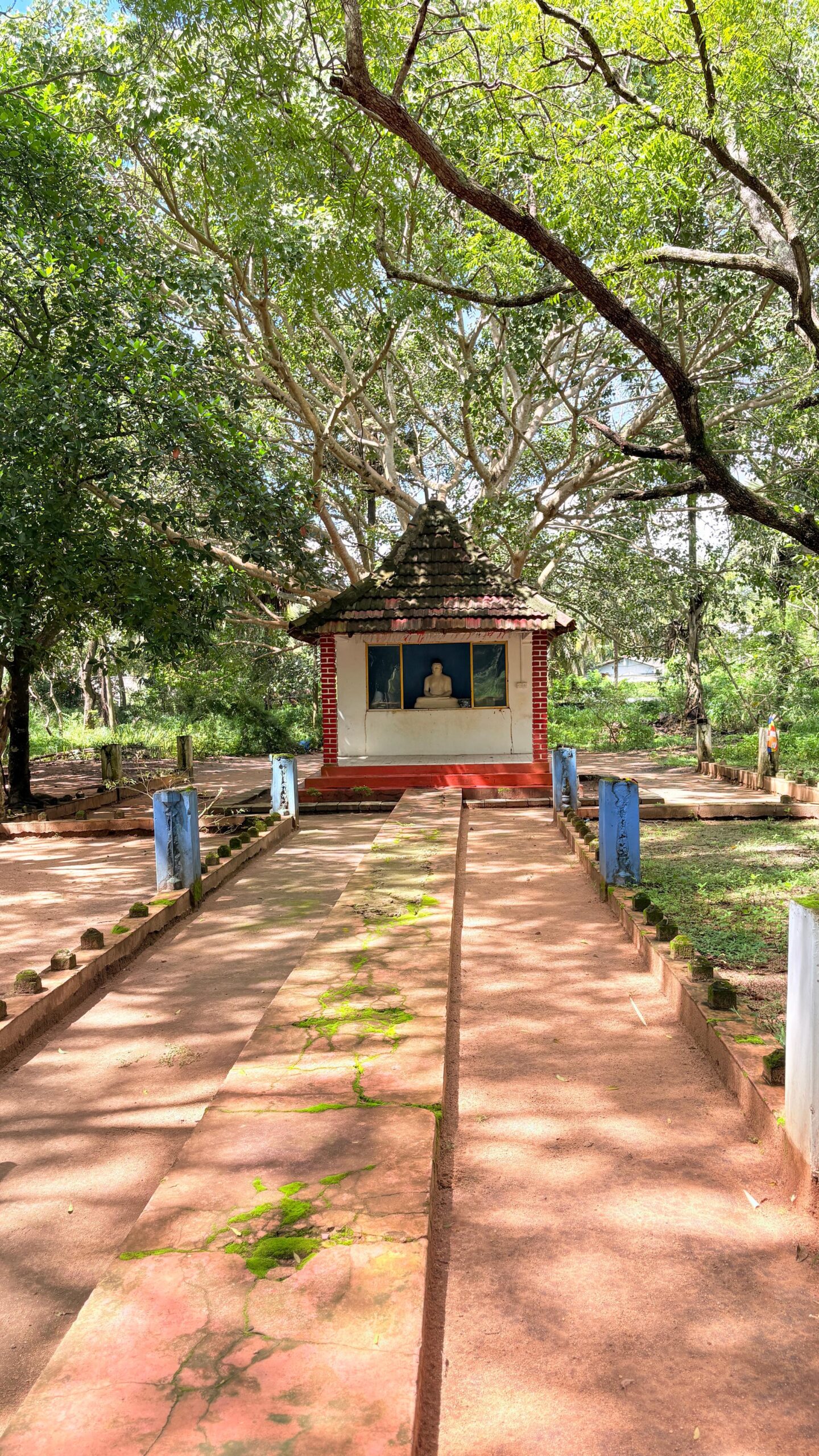 WhatsApp Image 2026-01-21 at 05.59.33