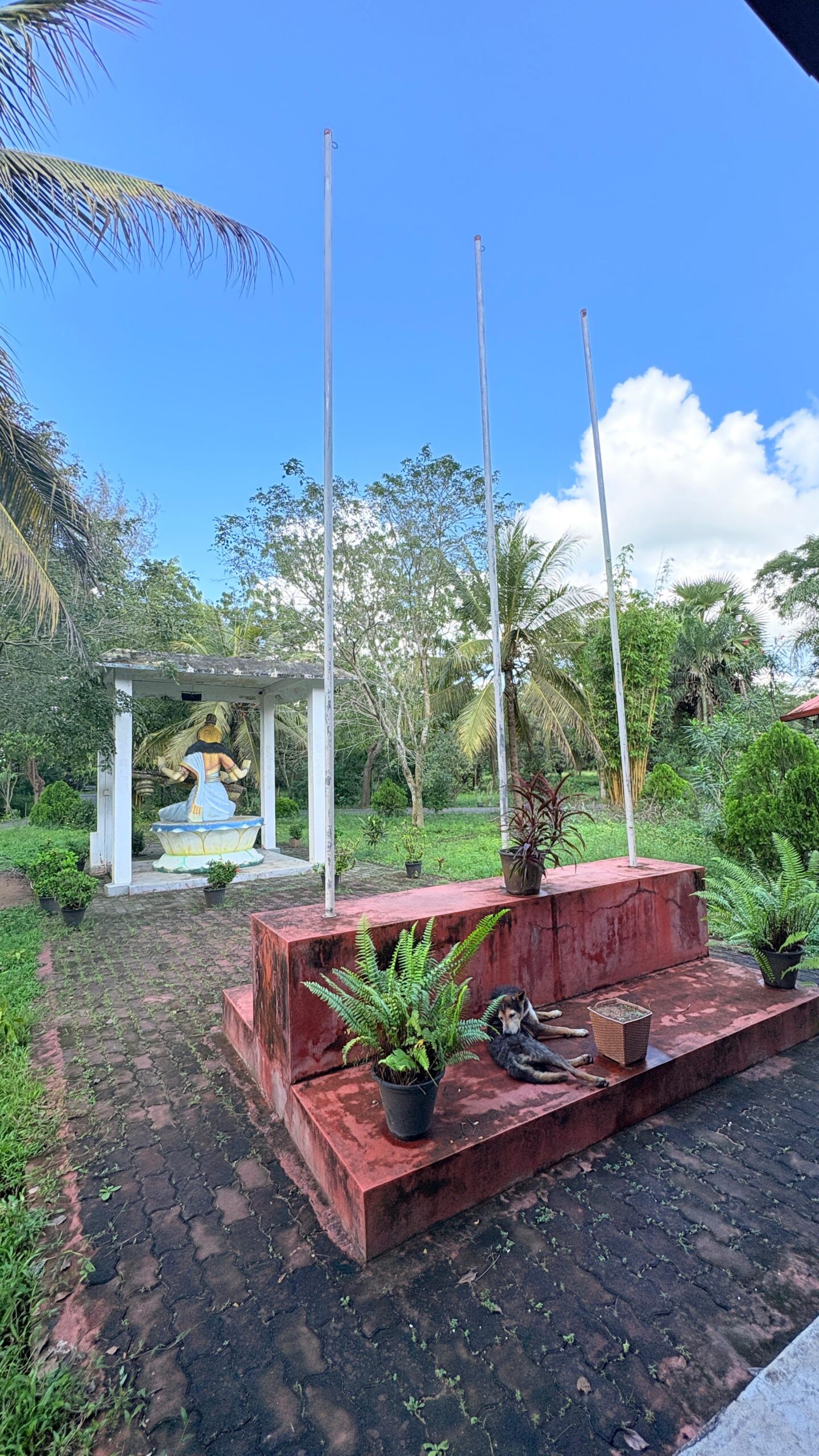 WhatsApp Image 2026-01-21 at 05.59.37