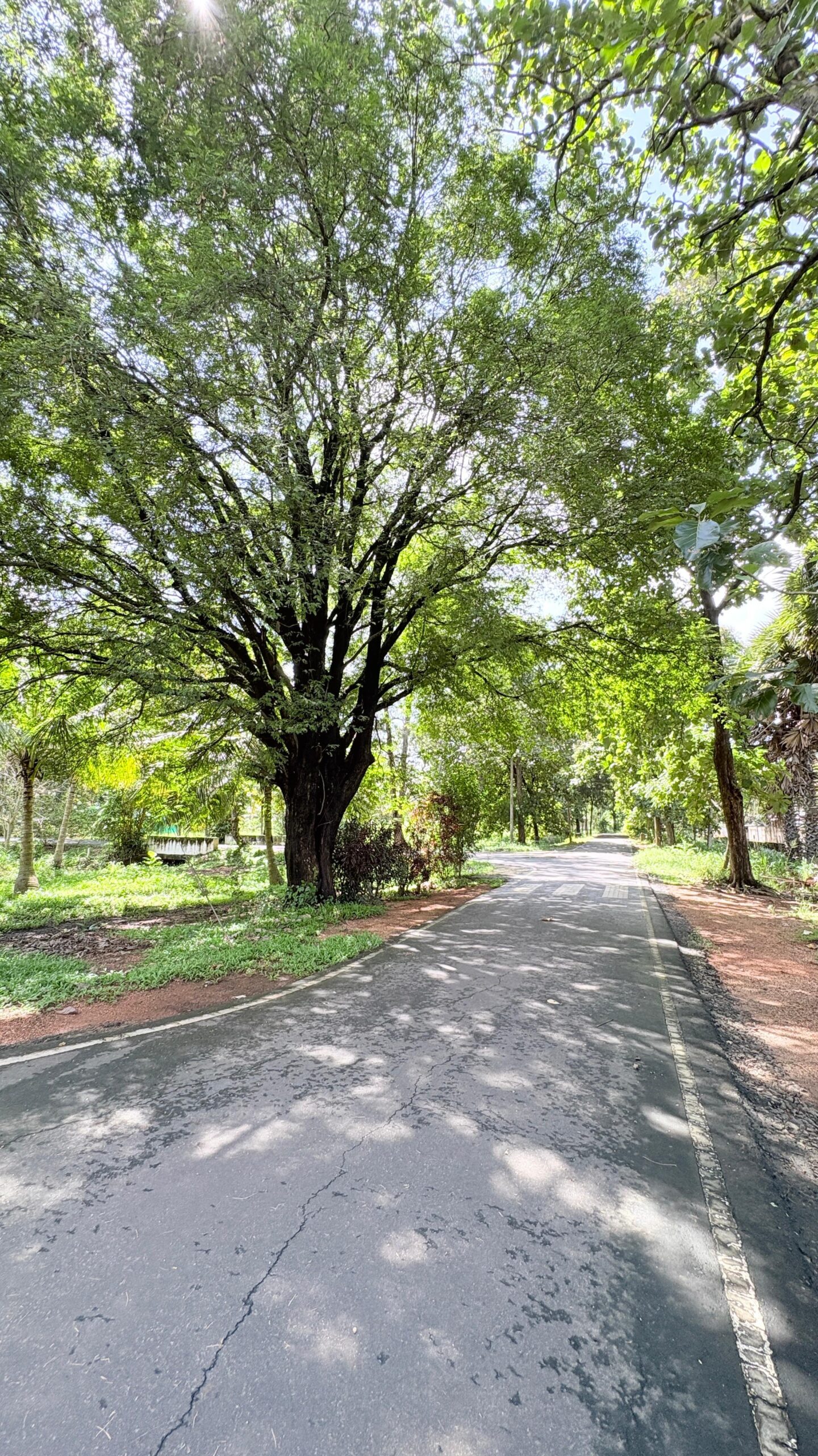 WhatsApp Image 2026-01-21 at 05.59.39